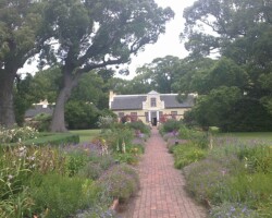Vergelegen Wine Estate